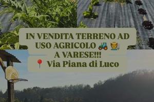 Terreno usa agricolo a varese