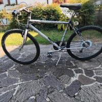 mountanbike uomo