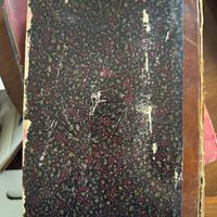 Il libro dei volatili domestici, 1899.