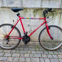 Mountain bike
