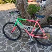 Bici Mountain bike 