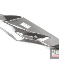 Fianchetto vasca puntale sinistro carbonio BMW R 1