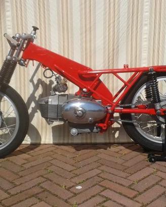 motobi benelli 250 ss