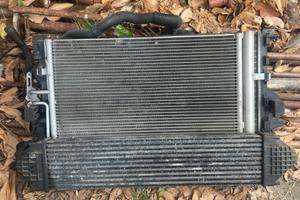 Radiatore ford s max