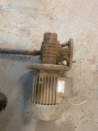 Motore elettrico + motoridurre