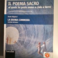 Il poema sacro - la Divina Commedia