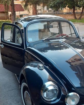 maggiolino  1.2