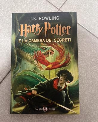 Libro Harry Potter