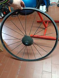 Ruota  per allenamento 