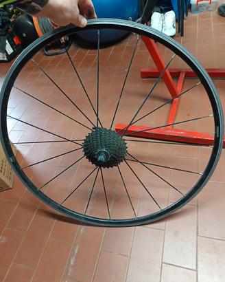 Ruota  per allenamento 