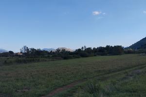 Terreno agricolo località caira