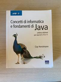 Concetti di informatica e fondamenti di Java