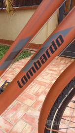 Bicicletta uomo.Lombardo