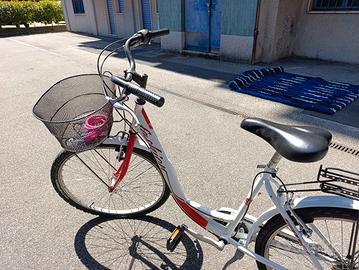 bici Mountain bike raggio 26