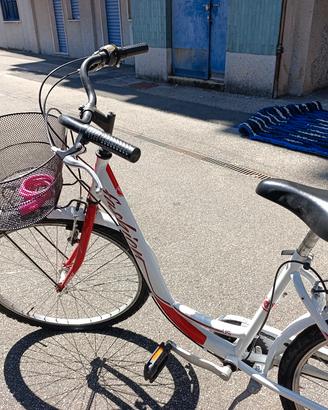 bici Mountain bike raggio 26