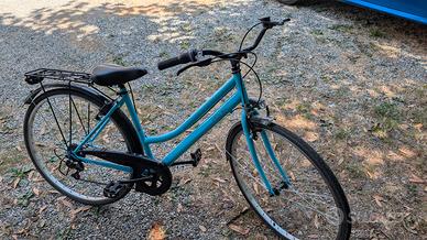 bici da passeggio 