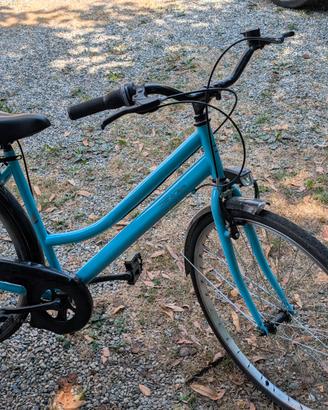 bici da passeggio 