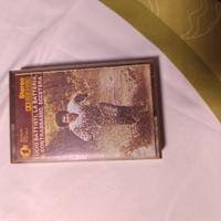 Lucio Battisti,la batteria,il contrabbasso, ecc...