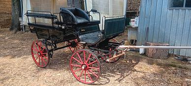 carrozza wagonette 