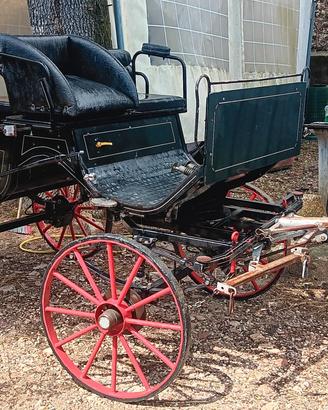 carrozza wagonette 