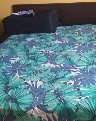 Camera da letto colore wengé