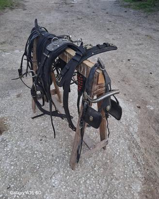 Finimenti per cavalli