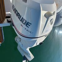 Motore Fuoribordo Evinrude 250 E-Tec