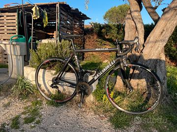 Bici da corsa masciarelli