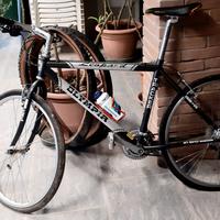 Bici Olympia Leopard