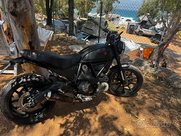 Vedo ducati scrambler