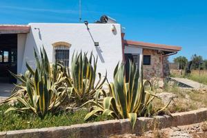 Tipico Trullo nella campagna Salentina