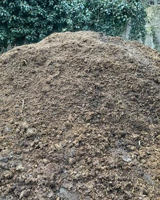 Concime stallatico di cavallo