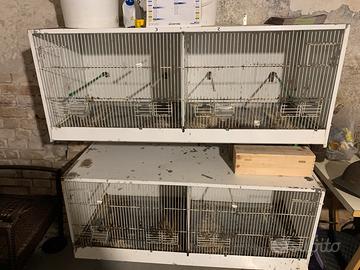 Batteria 3 gabbie terenzani