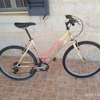 bicicletta da adulto donna 