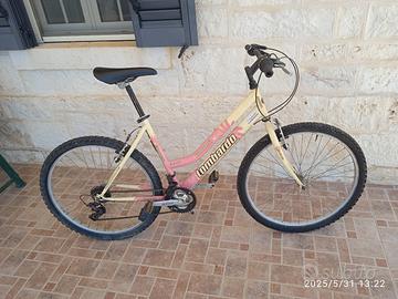 bicicletta da adulto donna 