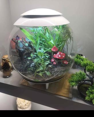 biorb air 60 terrario