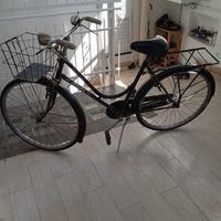 Bicicletta con cestino