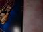 Immagine 5