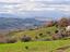 Immagine 23