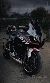 Qj Motor SRK 800 rr 2024