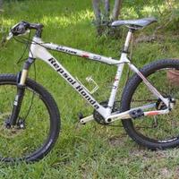 Bici di vari modelli - strada- mtb- passeggio