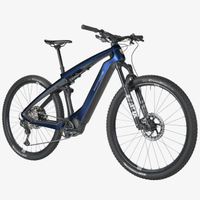 Porsche eBike Cross