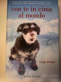 Con te in cima al mondo