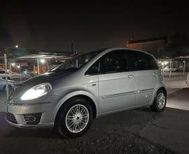 Lancia musa