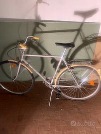 Bicicletta senza pretese