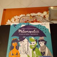 Gioco in scatola Meteoropatici