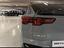 Immagine 12