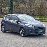 Ford Fiesta 1.5 TDCi 75CV 5 porte Titanium 2014-E5