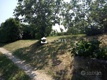 Rif.AKP55_7| rustico tarzo