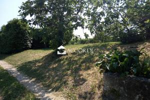 Rif.AKP55_7| rustico tarzo